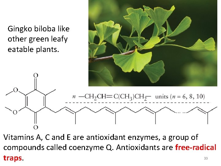 Gingko biloba like other green leafy eatable plants. Vitamins A, C and E are