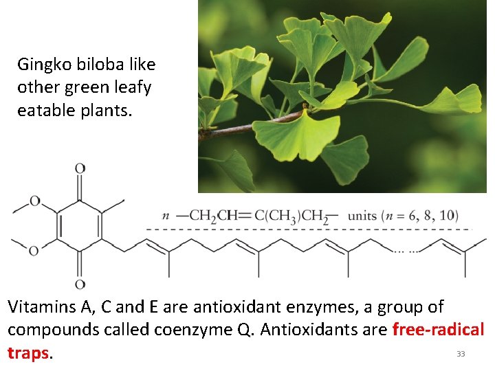 Gingko biloba like other green leafy eatable plants. Vitamins A, C and E are Gingko biloba like other green leafy eatable plants. Vitamins A, C and E are