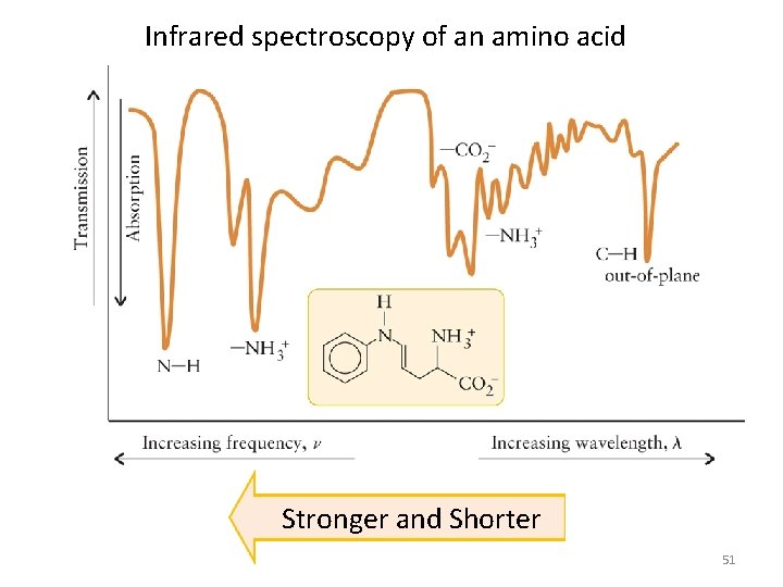 Infrared spectroscopy of an amino acid Stronger and Shorter 51  Infrared spectroscopy of an amino acid Stronger and Shorter 51