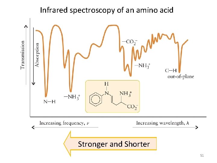 Infrared spectroscopy of an amino acid Stronger and Shorter 51 