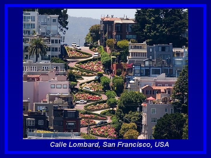 1. Calle Lombard, San Francisco, USA www. vitanoblepowerpoints. net 