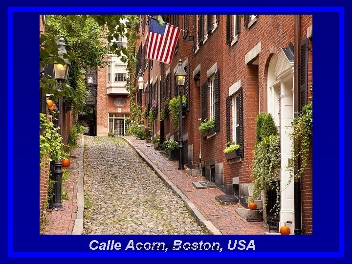 www. vitanoblepowerpoints. net Calle Acorn, Boston, USA 