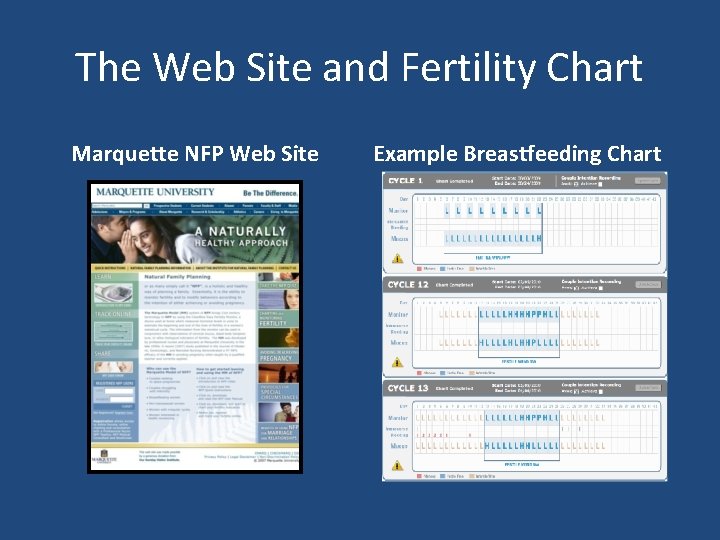 The Web Site and Fertility Chart Marquette NFP Web Site Example Breastfeeding Chart 