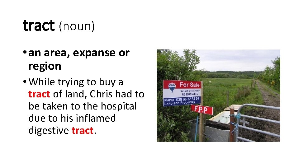 tract (noun) • an area, expanse or region • While trying to buy a