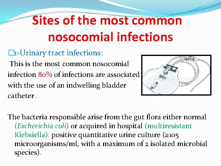 Sites of the most common nosocomial infections � 1 -Urinary tract infections: This is