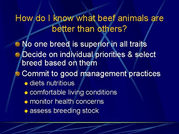 How do I know what beef animals are better than others? No one breed