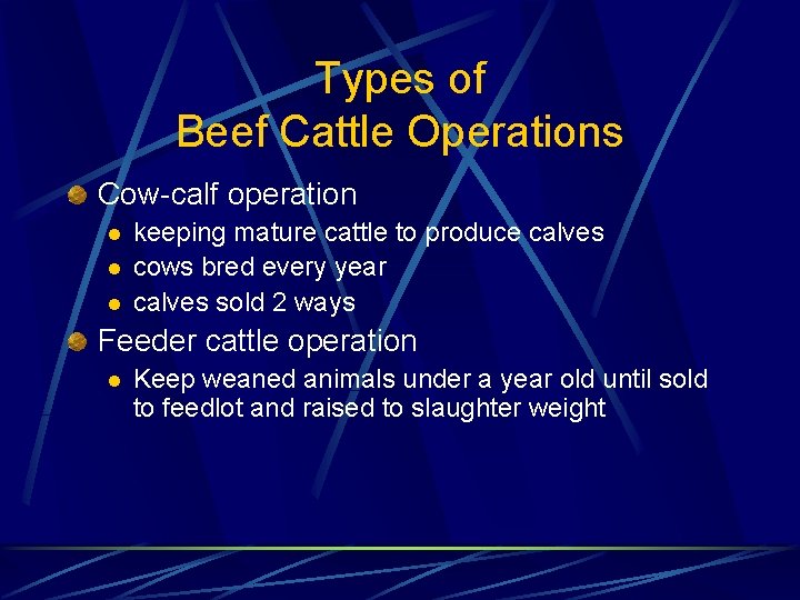 Types of Beef Cattle Operations Cow-calf operation l l l keeping mature cattle to