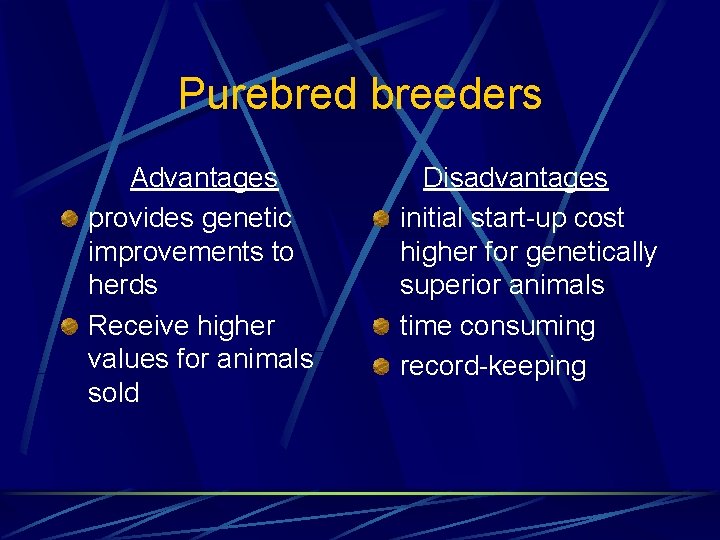 Purebred breeders Advantages provides genetic improvements to herds Receive higher values for animals sold
