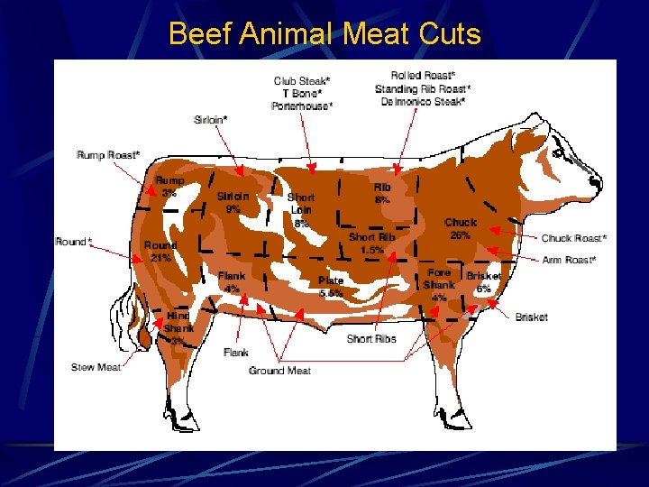 Beef Animal Meat Cuts 