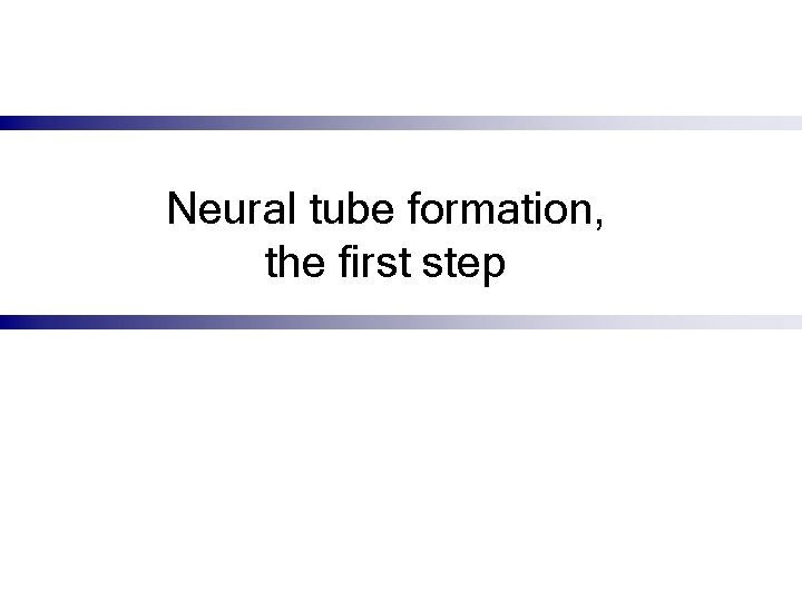 Neural tube formation, the first step 