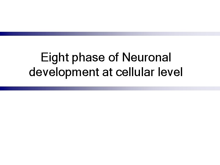 Eight phase of Neuronal development at cellular level 