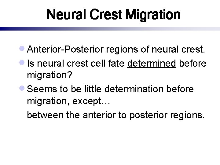 Neural Crest Migration · Anterior-Posterior regions of neural crest. · Is neural crest cell