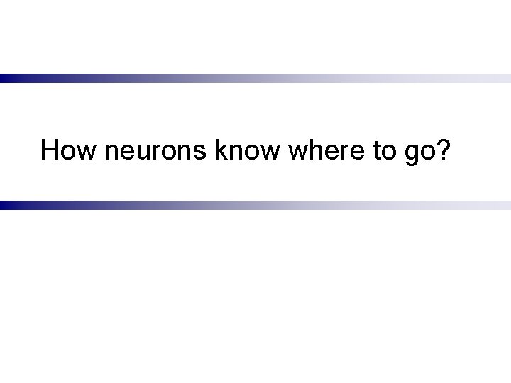 How neurons know where to go? 