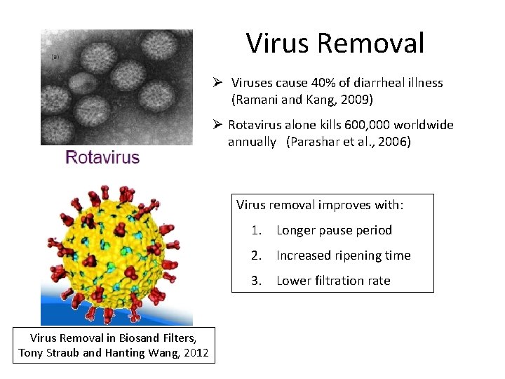 Virus Removal Ø Viruses cause 40% of diarrheal illness (Ramani and Kang, 2009) Ø