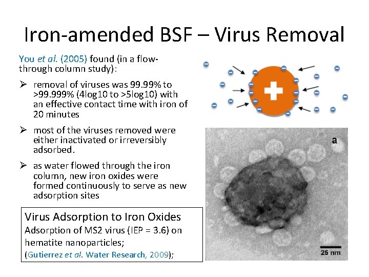 Iron-amended BSF – Virus Removal You et al. (2005) found (in a flowthrough column