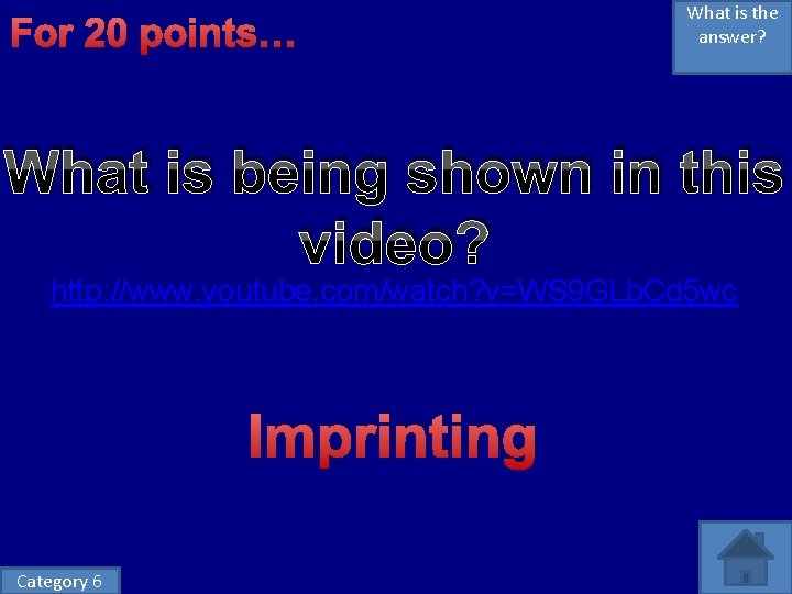 For 20 points… What is the answer? What is being shown in this video? For 20 points… What is the answer? What is being shown in this video?