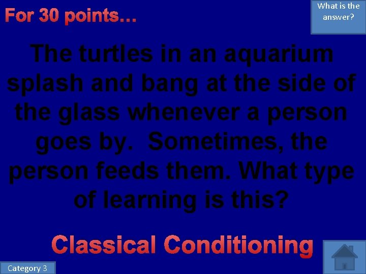 For 30 points… What is the answer? The turtles in an aquarium splash and