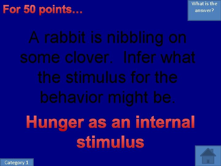 For 50 points… What is the answer? A rabbit is nibbling on some clover. For 50 points… What is the answer? A rabbit is nibbling on some clover.