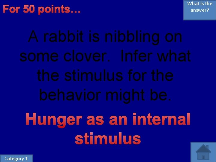 For 50 points… What is the answer? A rabbit is nibbling on some clover.