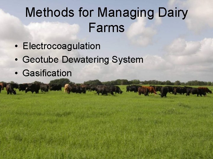 Methods for Managing Dairy Farms • Electrocoagulation • Geotube Dewatering System • Gasification 