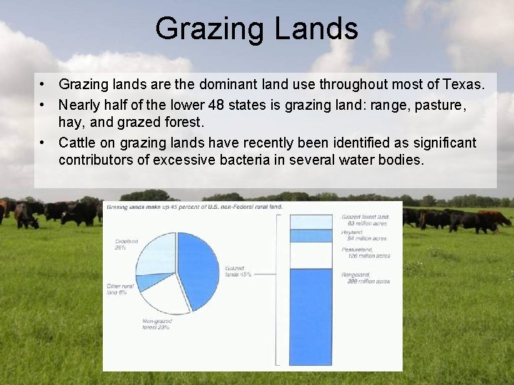 Grazing Lands • Grazing lands are the dominant land use throughout most of Texas.