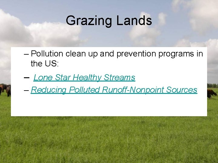 Grazing Lands – Pollution clean up and prevention programs in the US: – Lone