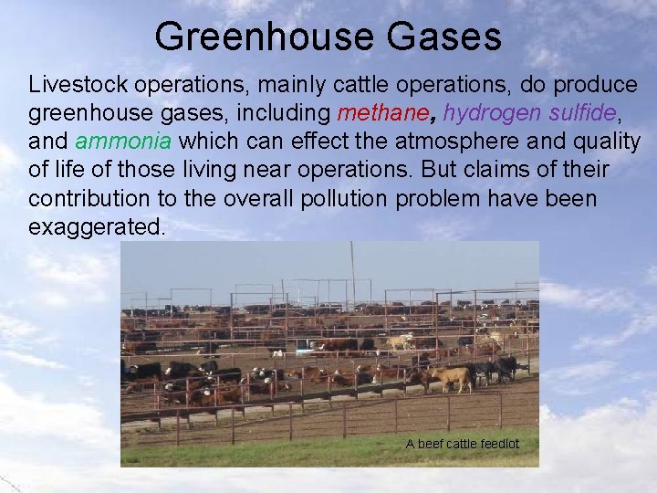 Greenhouse Gases Livestock operations, mainly cattle operations, do produce greenhouse gases, including methane, hydrogen