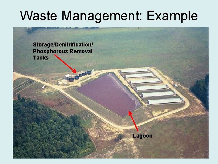 Waste Management: Example Storage/Denitrification/ Phosphorous Removal Tanks Lagoon 