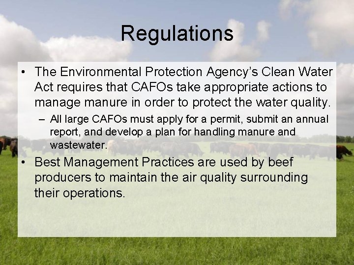 Regulations • The Environmental Protection Agency’s Clean Water Act requires that CAFOs take appropriate