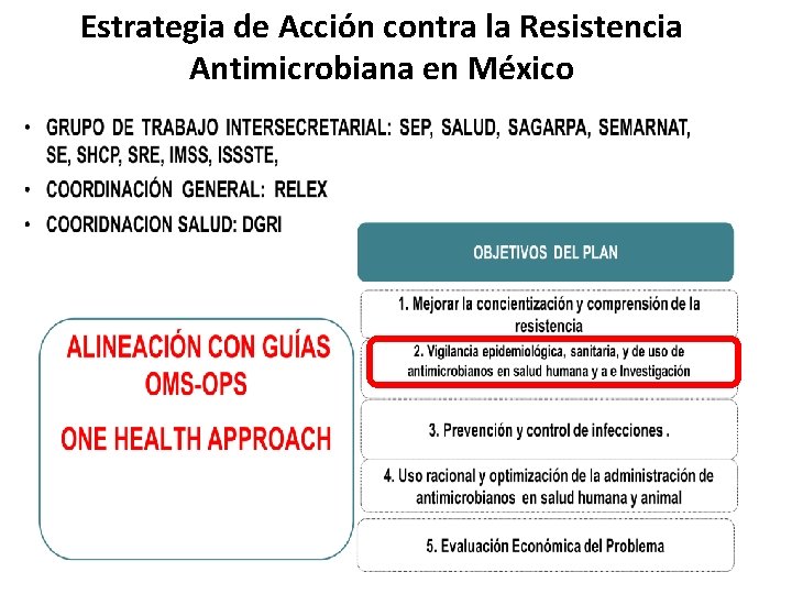 Estrategia de Acción contra la Resistencia Antimicrobiana en México 