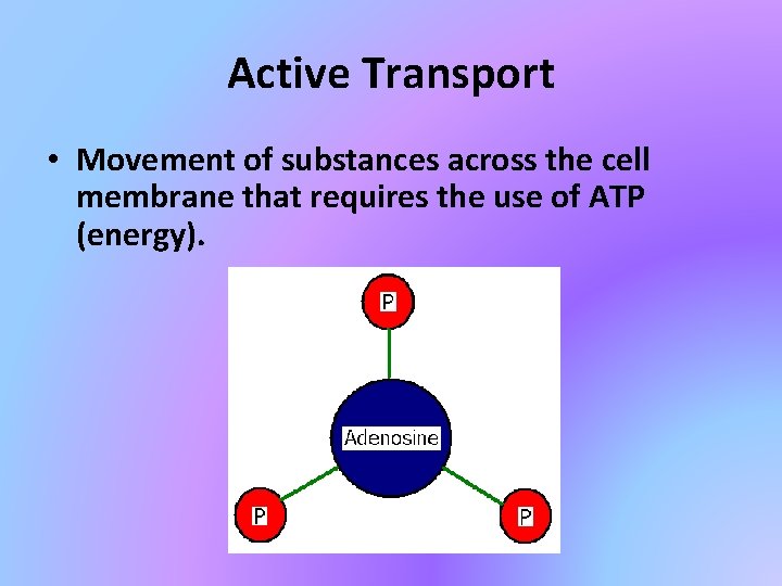 Active Transport • Movement of substances across the cell membrane that requires the use