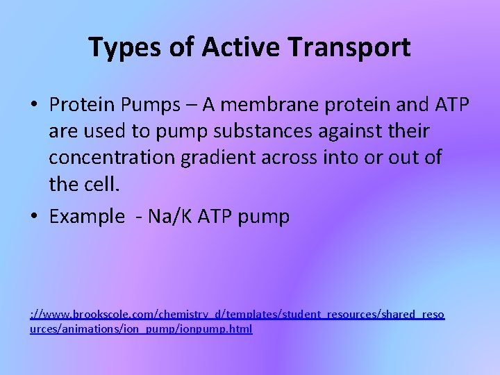 Types of Active Transport • Protein Pumps – A membrane protein and ATP are