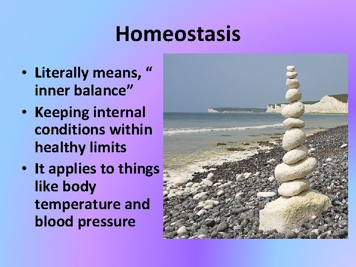 Homeostasis • Literally means, “ inner balance” • Keeping internal conditions within healthy limits