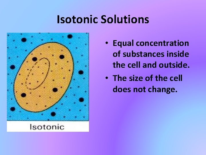 Isotonic Solutions • Equal concentration of substances inside the cell and outside. • The