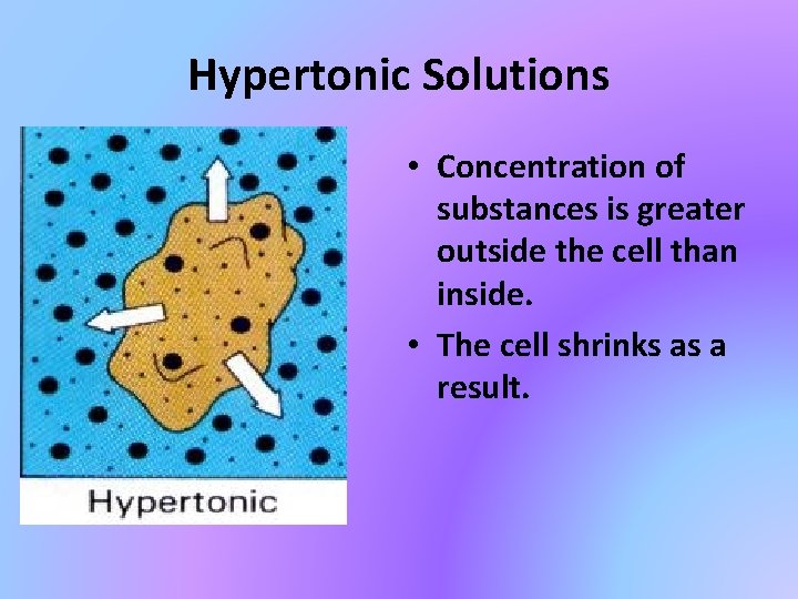 Hypertonic Solutions • Concentration of substances is greater outside the cell than inside. •