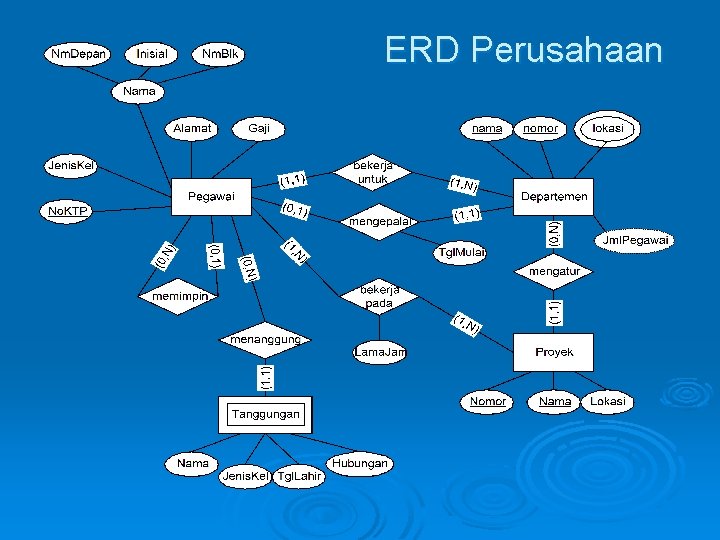 ERD Perusahaan ERD Perusahaan