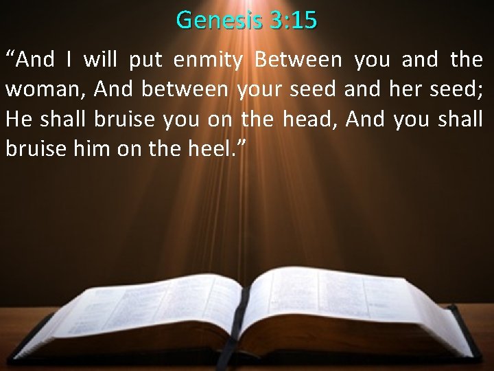 Genesis 3: 15 “And I will put enmity Between you and the woman, And