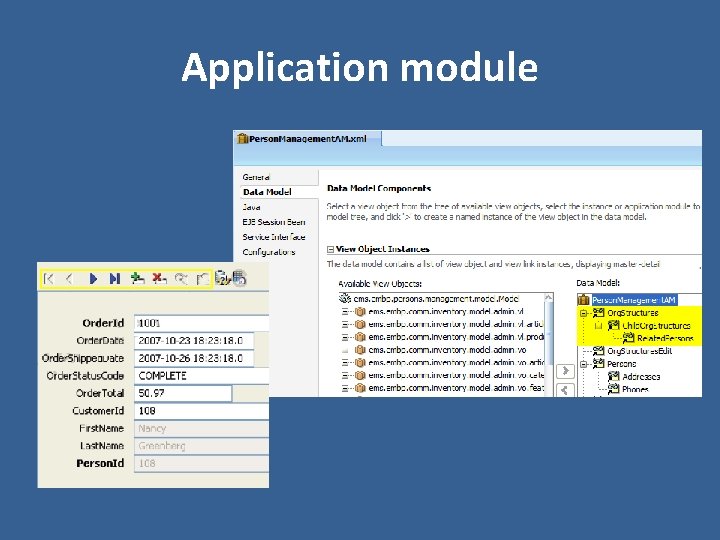 Application module 