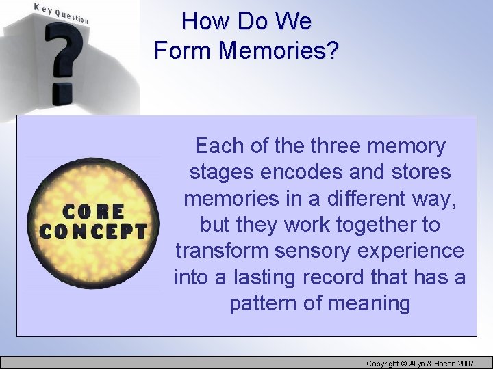 How Do We Form Memories? Each of the three memory stages encodes and stores