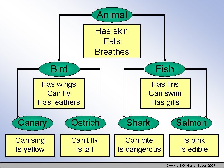 Animal Has skin Eats Breathes Bird Fish Has wings Can fly Has feathers Has
