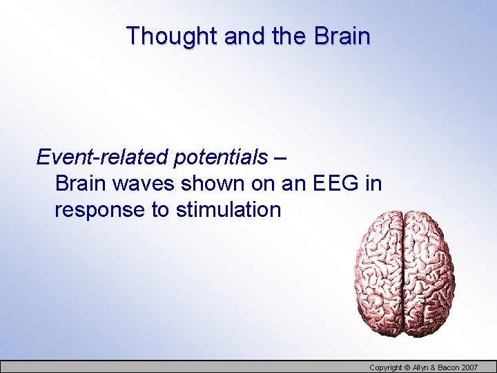 Thought and the Brain Event-related potentials – Brain waves shown on an EEG in