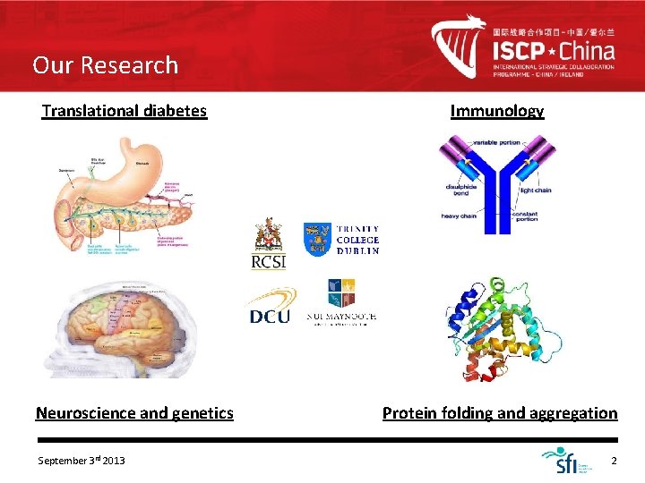 Our Research Translational diabetes Neuroscience and genetics September 3 rd 2013 Immunology Protein folding