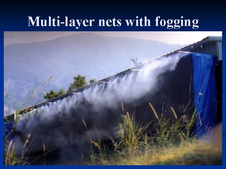 Multi-layer nets with fogging 