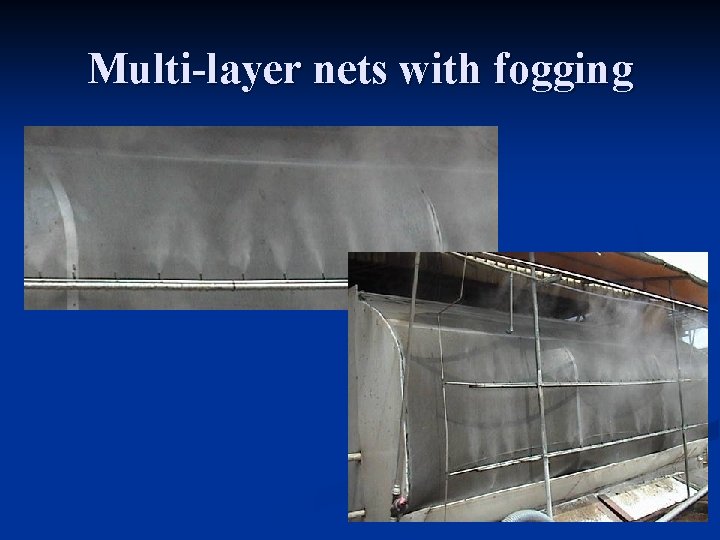 Multi-layer nets with fogging 