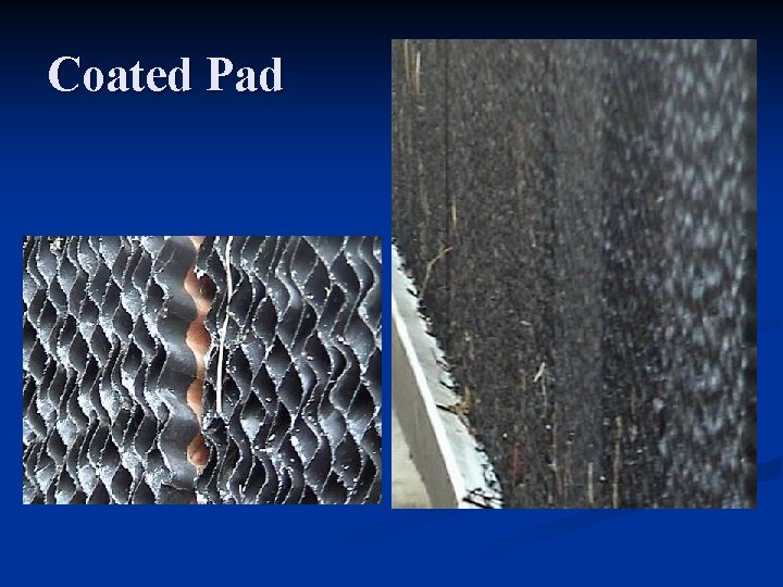 Coated Pad 