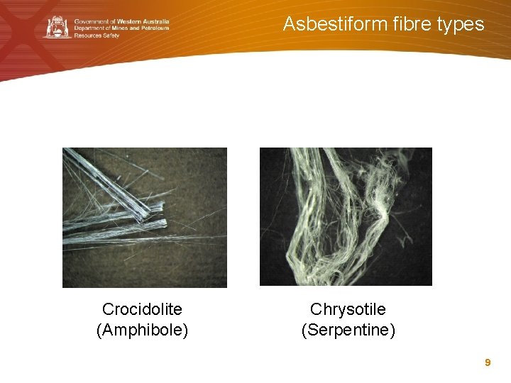 Asbestiform fibre types Crocidolite (Amphibole) Chrysotile (Serpentine) 9 