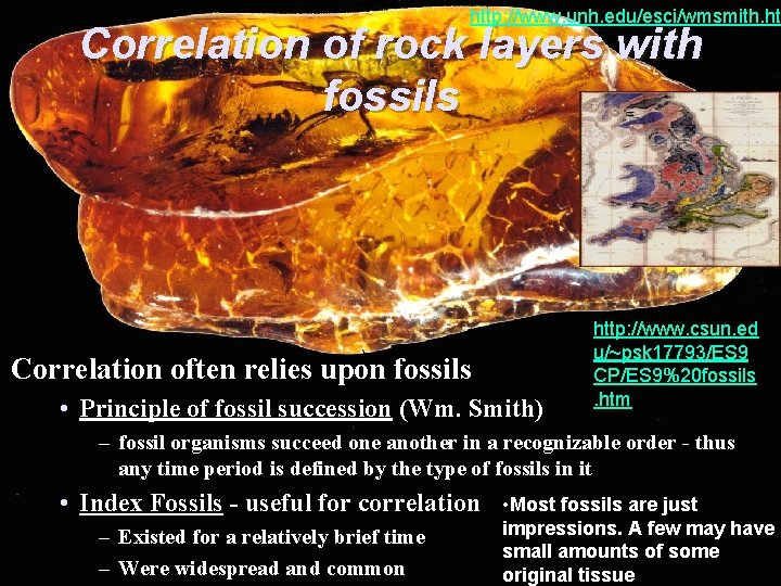 http: //www. unh. edu/esci/wmsmith. ht Correlation of rock layers with fossils Correlation often relies