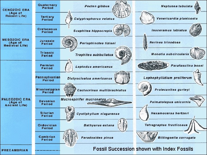 Fossil Succession shown with Index Fossils 