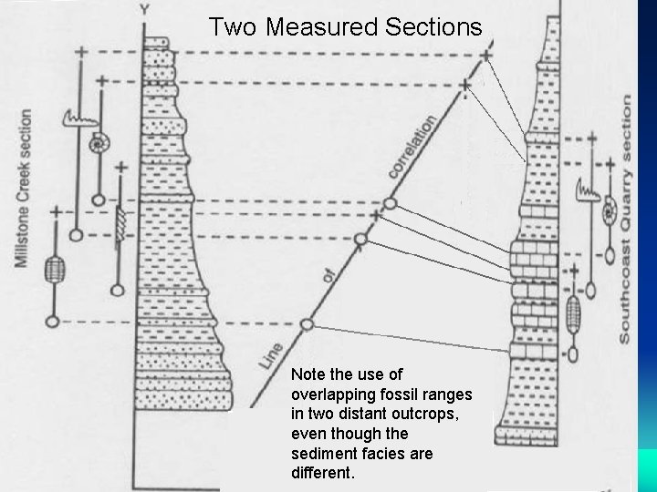 Two Measured Sections Note the use of overlapping fossil ranges in two distant outcrops,