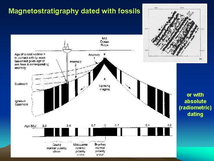 Magnetostratigraphy dated with fossils or with absolute (radiometric) dating 